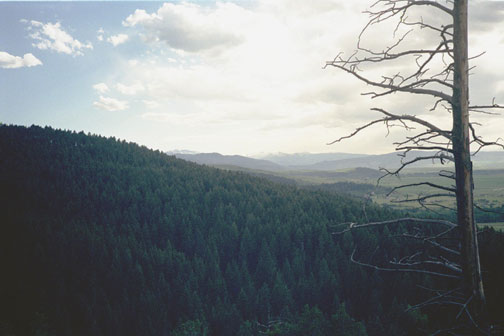 The view from the Kirk Hill overlook to the west