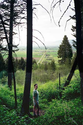 The view from Kirk Hill to the north